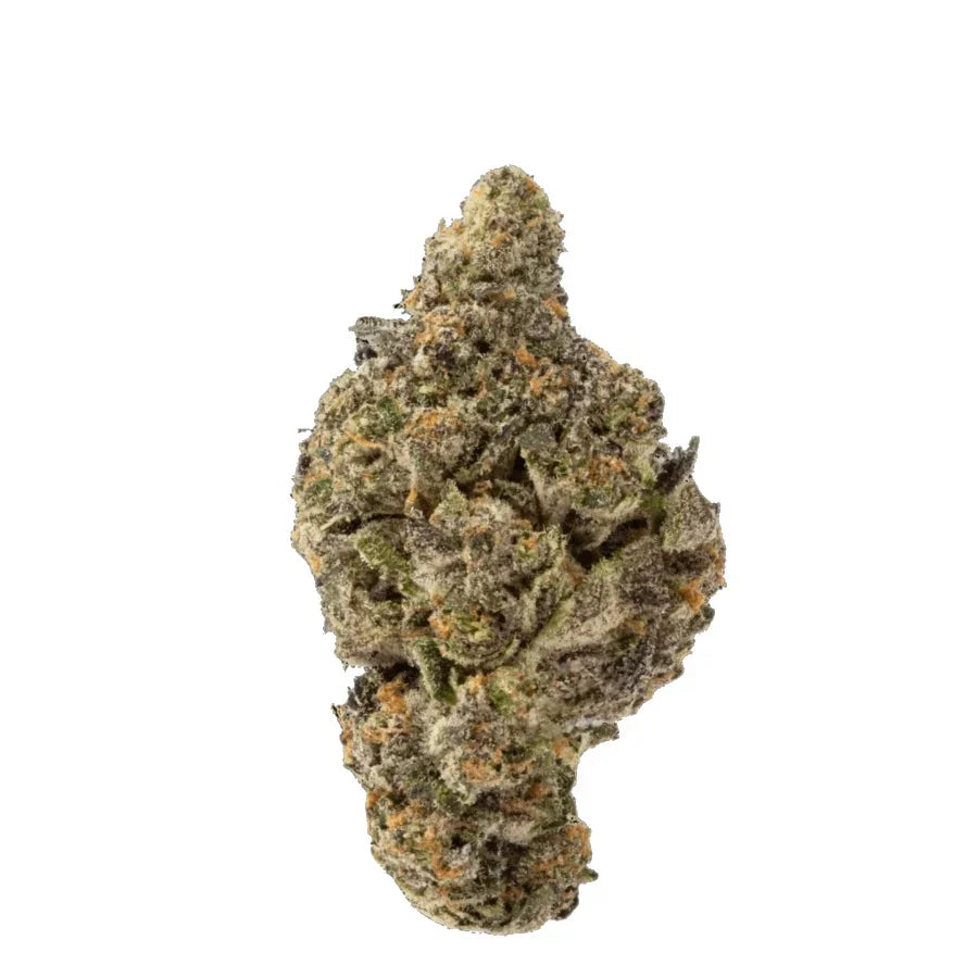 hemp flower bud with dark green leaves