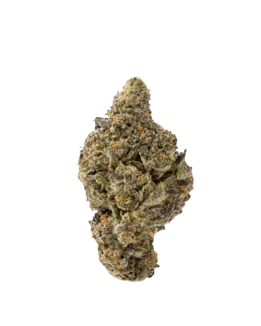 Black Biscotti THCA Hemp Flower (Indica)