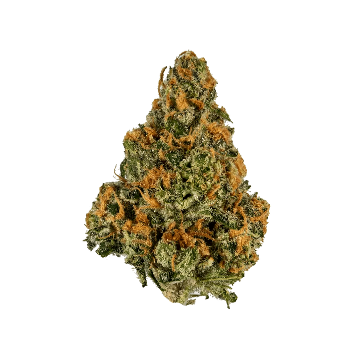 Shezan Mango THCA Hemp Flower (Sativa)