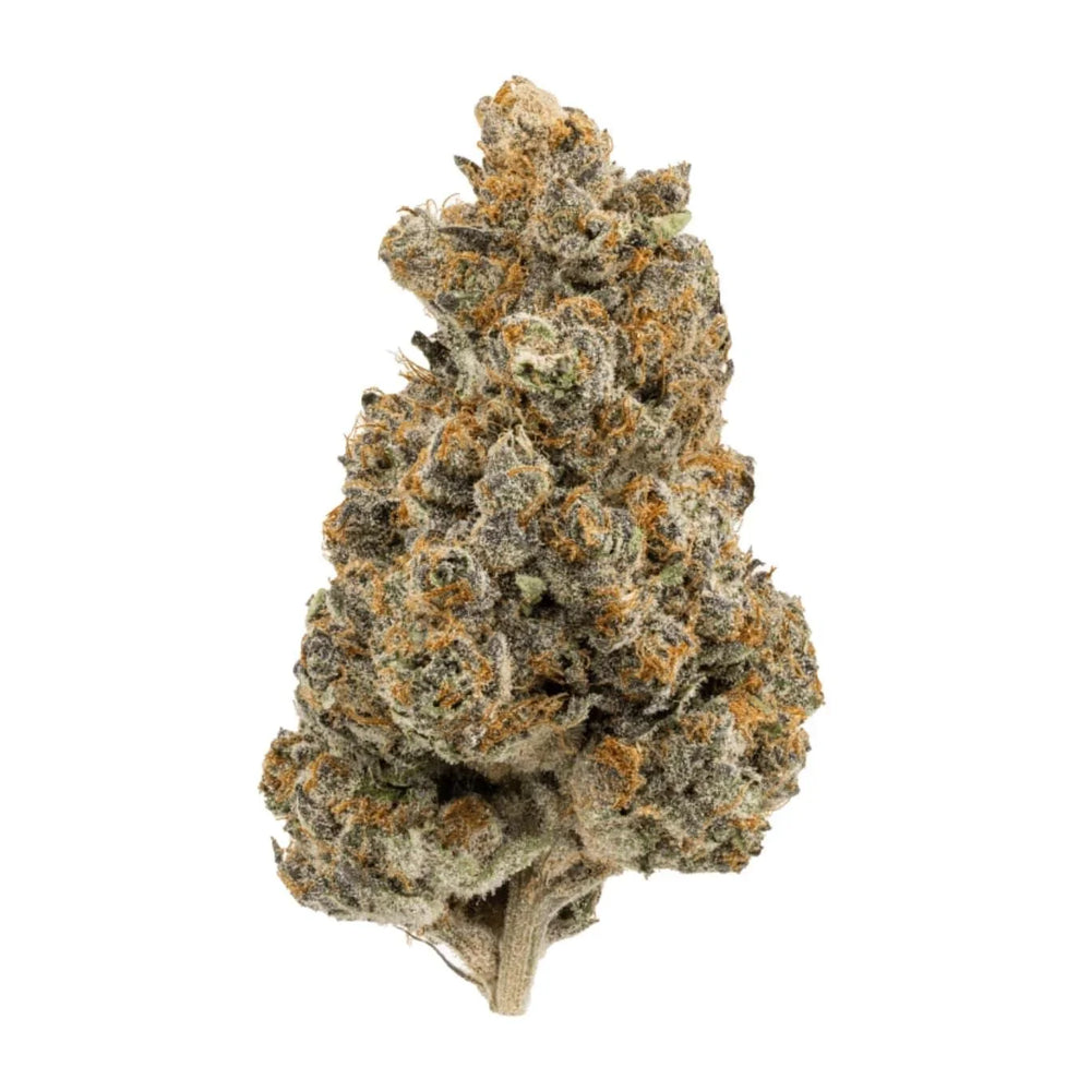 RS11 strain cannabis bud with green, purple, and orange hairs on white background