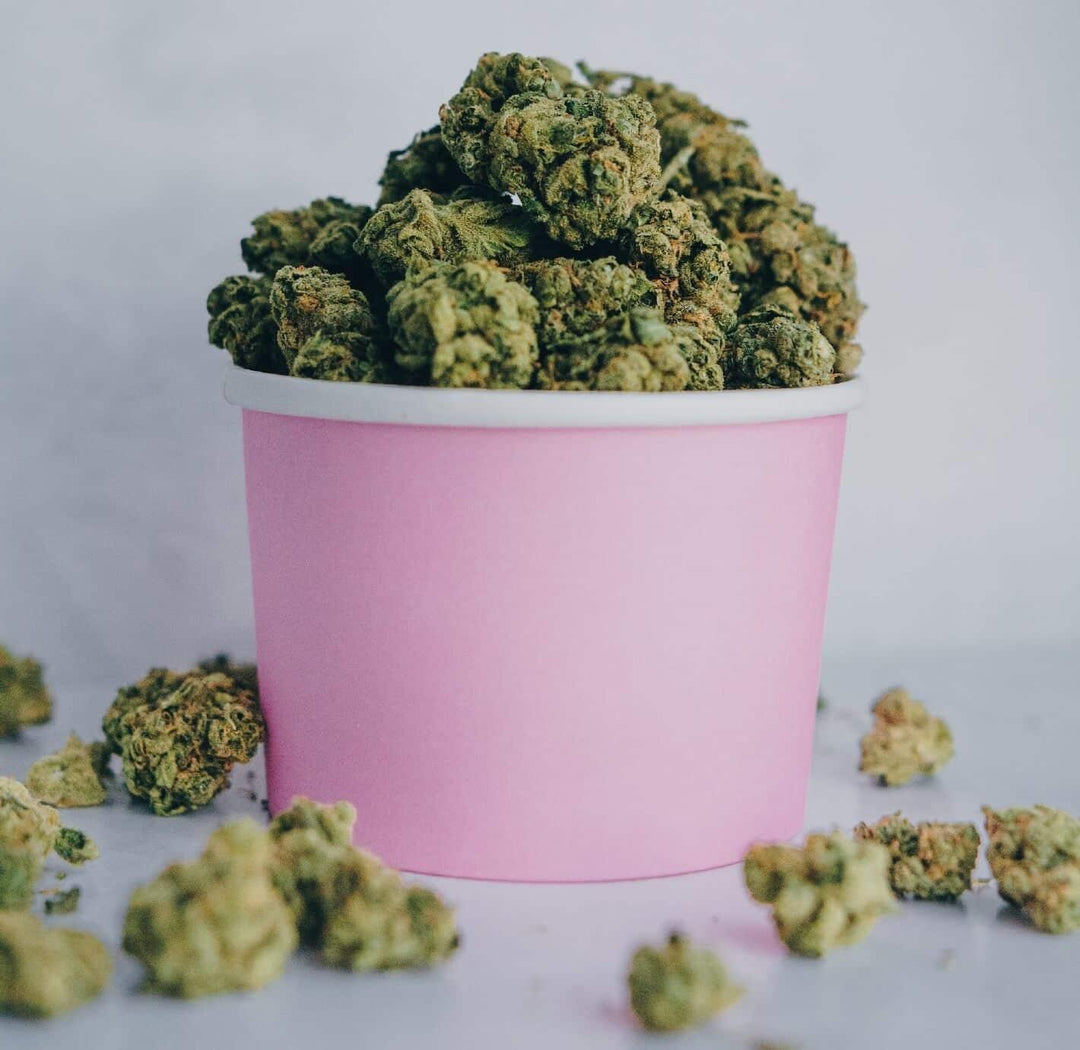 Pink bucket filled with cannabis buds on a white surface