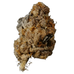 Image of Cannabis for Energy: Strains & Products That Keep You Focused