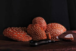 Image of Amanita muscaria: How to use