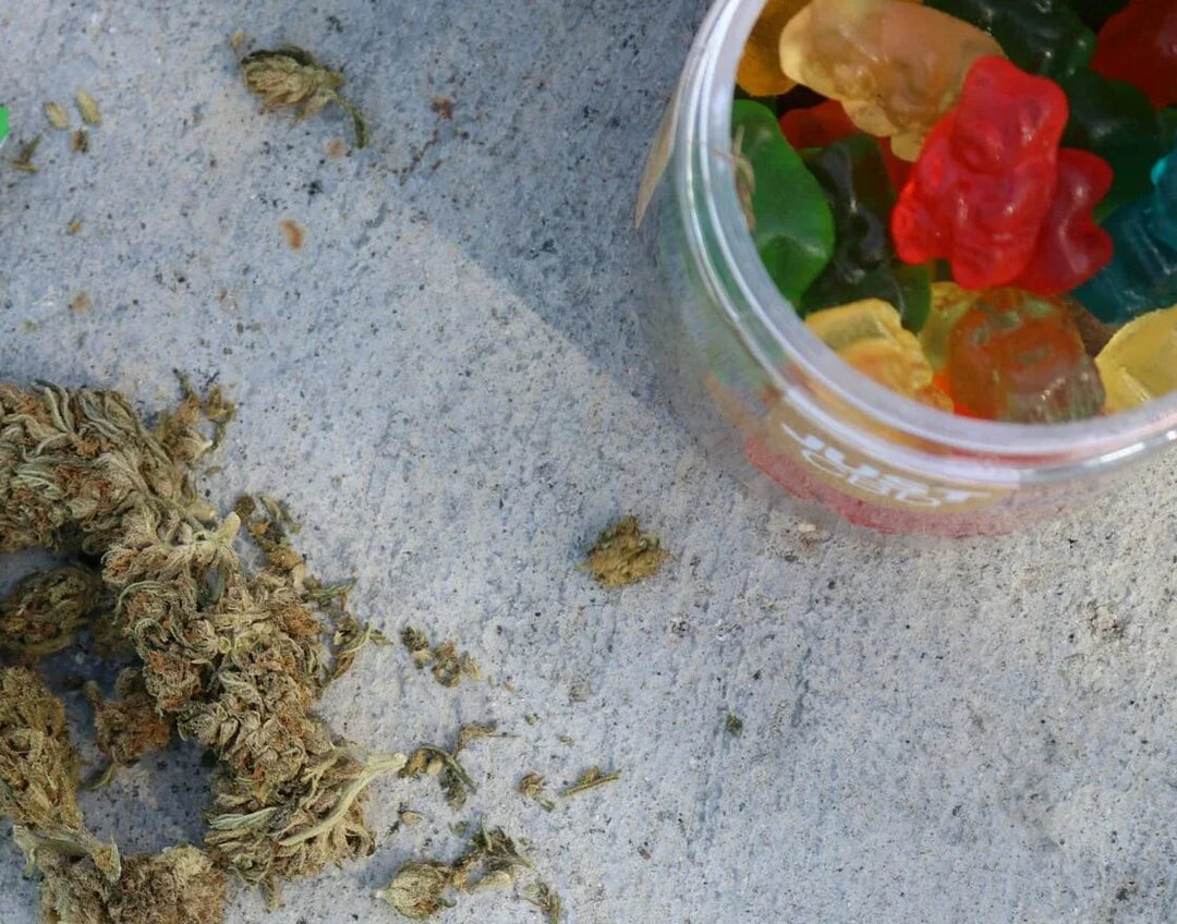 Delta-8 gummy bears in jar beside cannabis buds on concrete surface