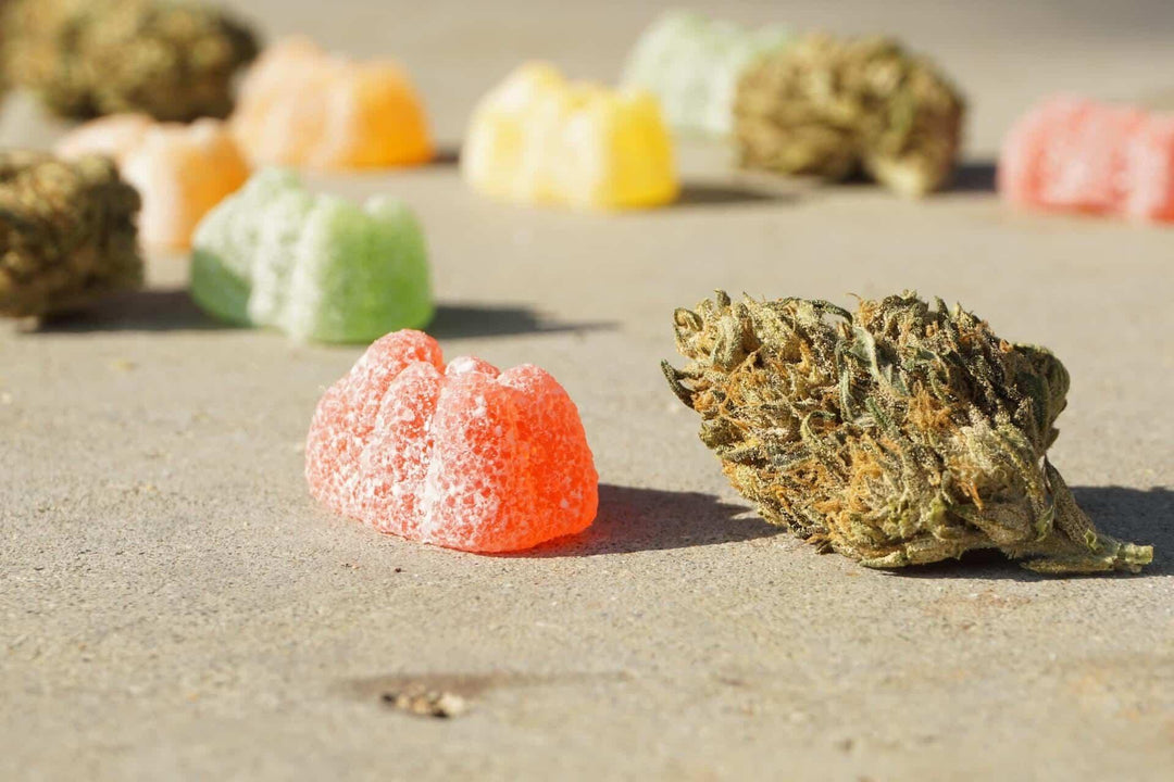 Delta 8 THC gummies and cannabis bud on a light surface, close-up, colorful edibles