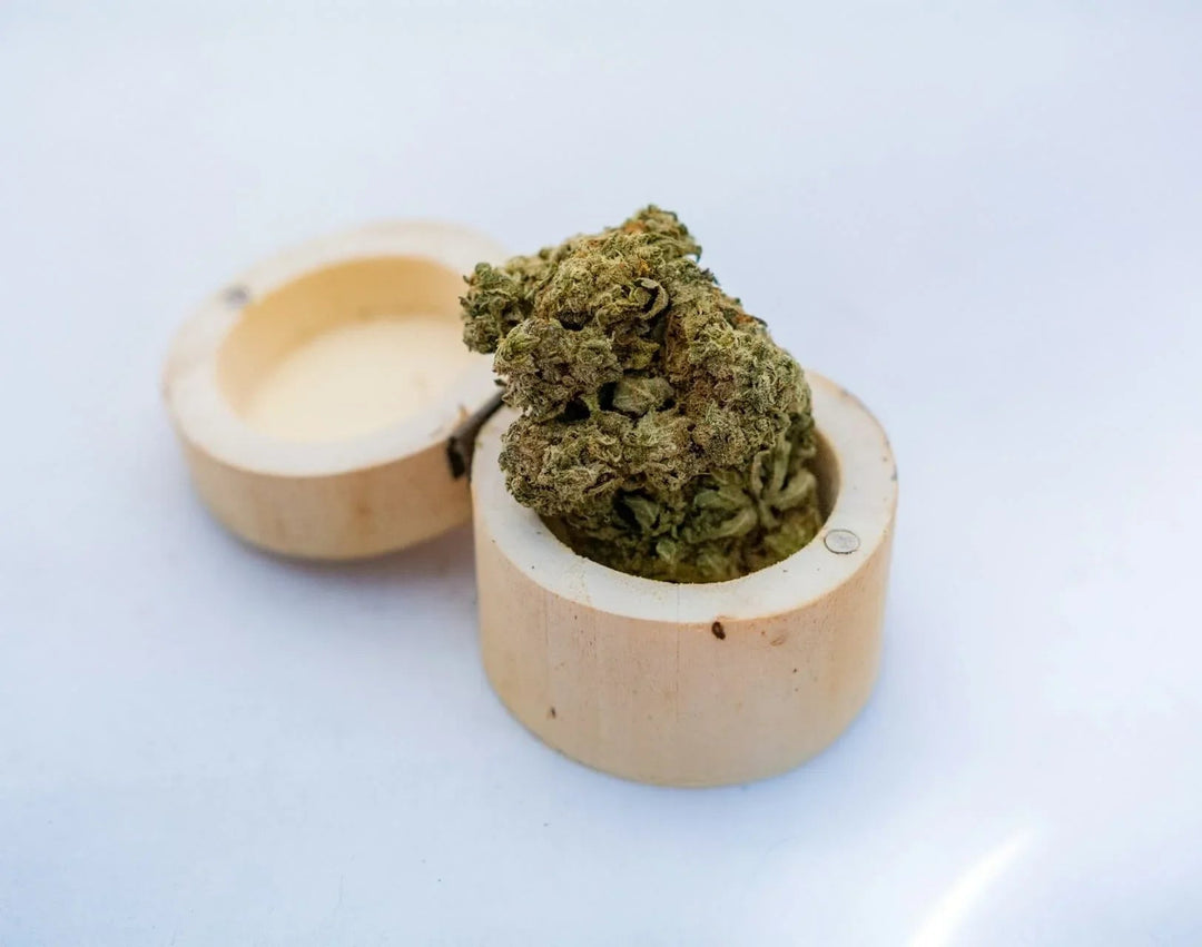 Dried hemp flower bud in a small round wooden container on a white background
