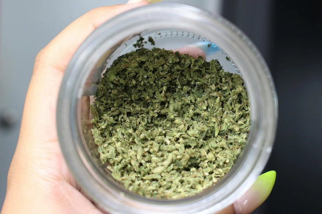 Hand holding glass jar filled with ground weed cannabis buds