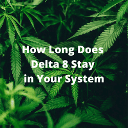 Image of How Long Does Delta 8 Stay in Your System