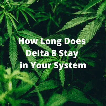 Delta 8 THC text over green cannabis leaves background