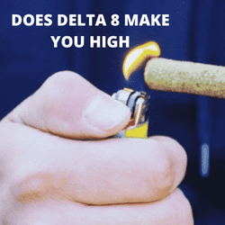 Image of Does Delta-8 Make You High?