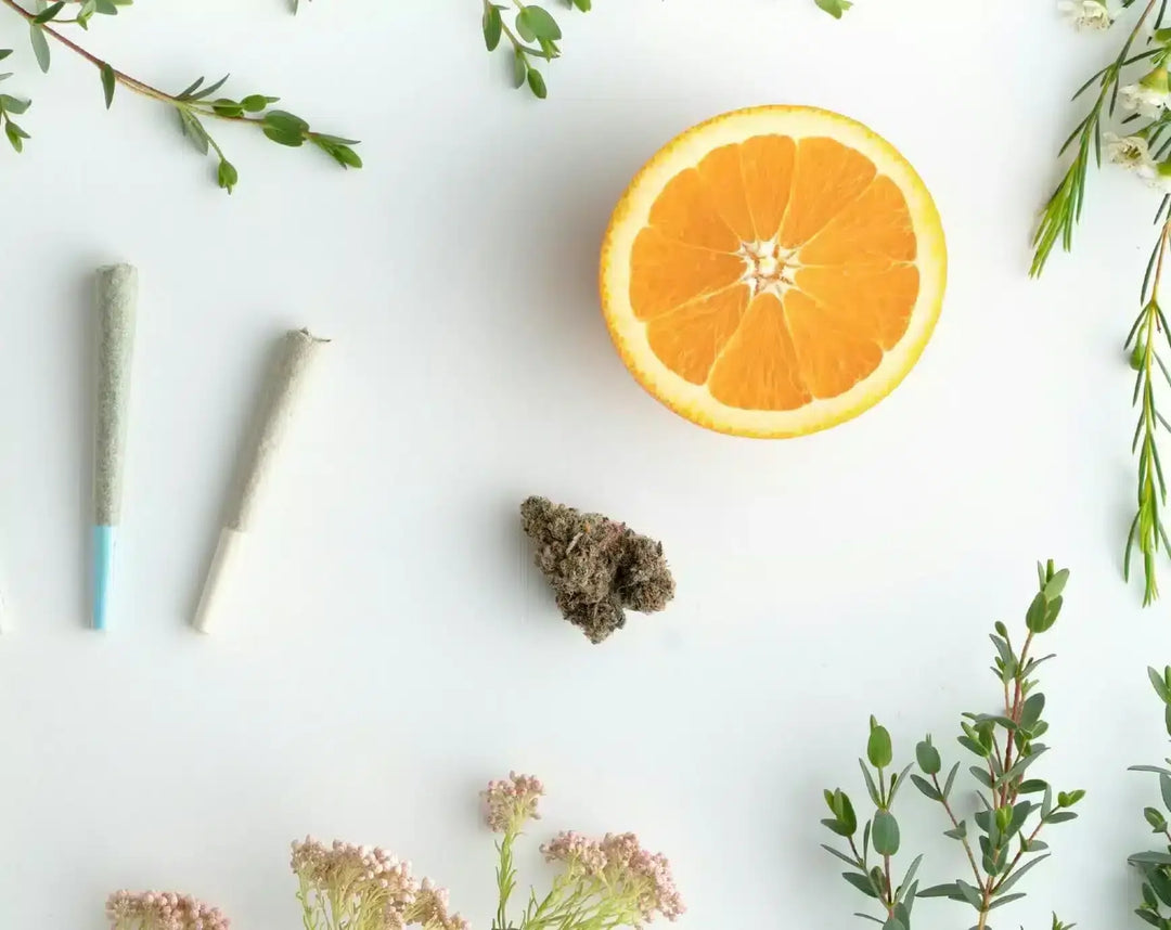 cannabis pre-rolls, orange slice, hemp bud, and fresh herbs on white background