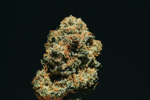 Now that the US has become more open to cannabis, enthusiasts can buy THCA hemp flower legally in most states