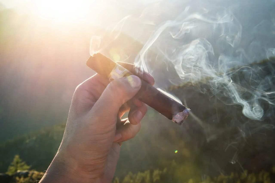 Hand holding a smoking pre-rolled blunt outdoors with sunlight and smoke.