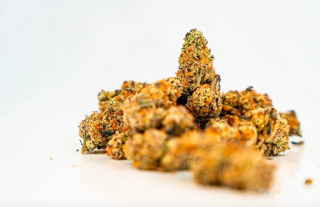 Close-up of cannabis buds on white background, showcasing vibrant orange and green colors