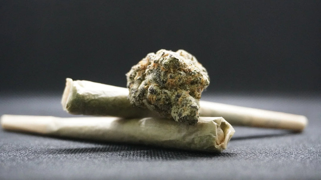 Close-up of cannabis bud and two THC joints on a black fabric background
