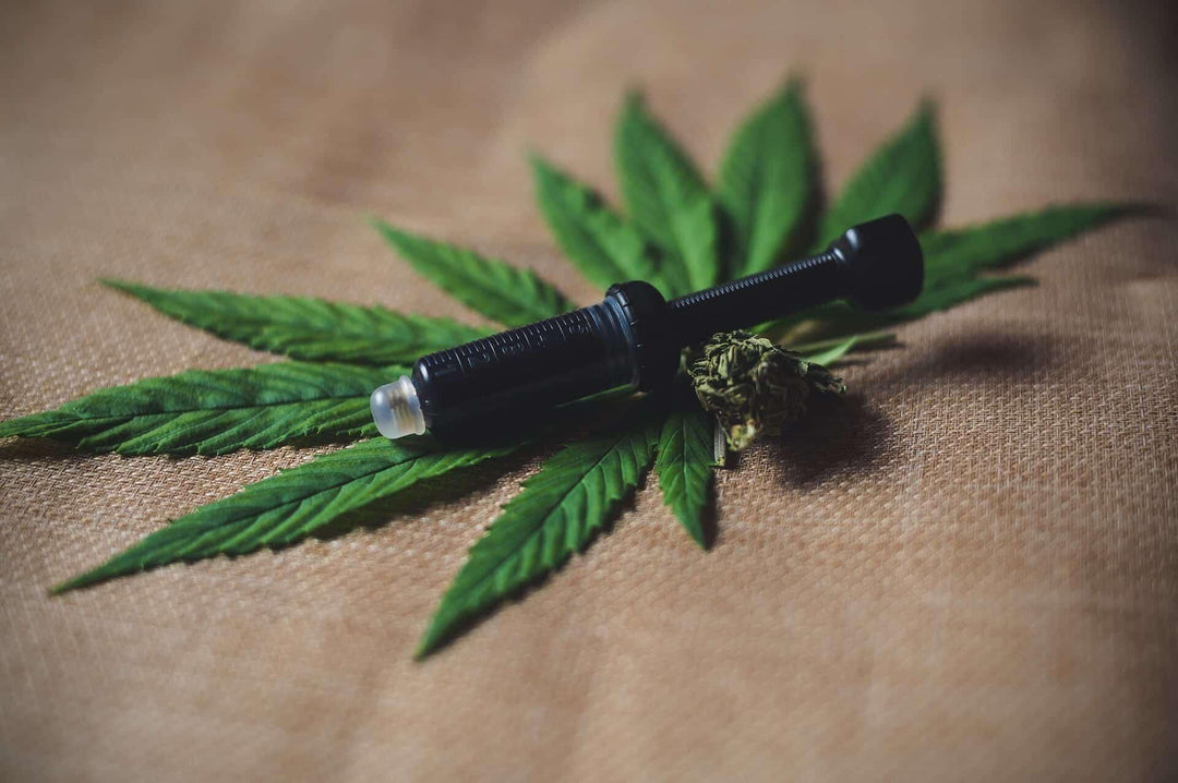 THCA extract syringe with cannabis leaf and bud on burlap background