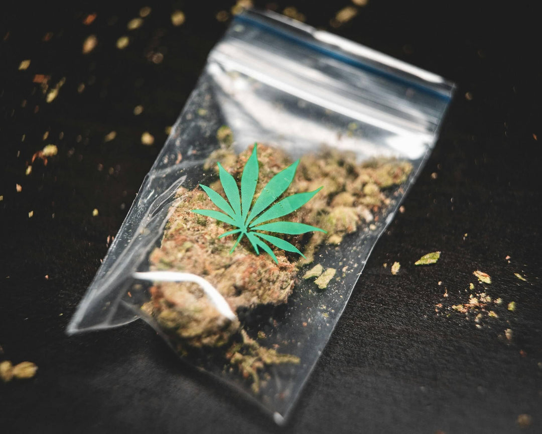THCA flower in a sealed plastic bag with cannabis leaf icon on black background