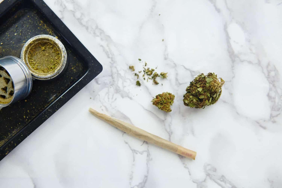 Cannabis buds, grinder, and rolled joint on white marble surface