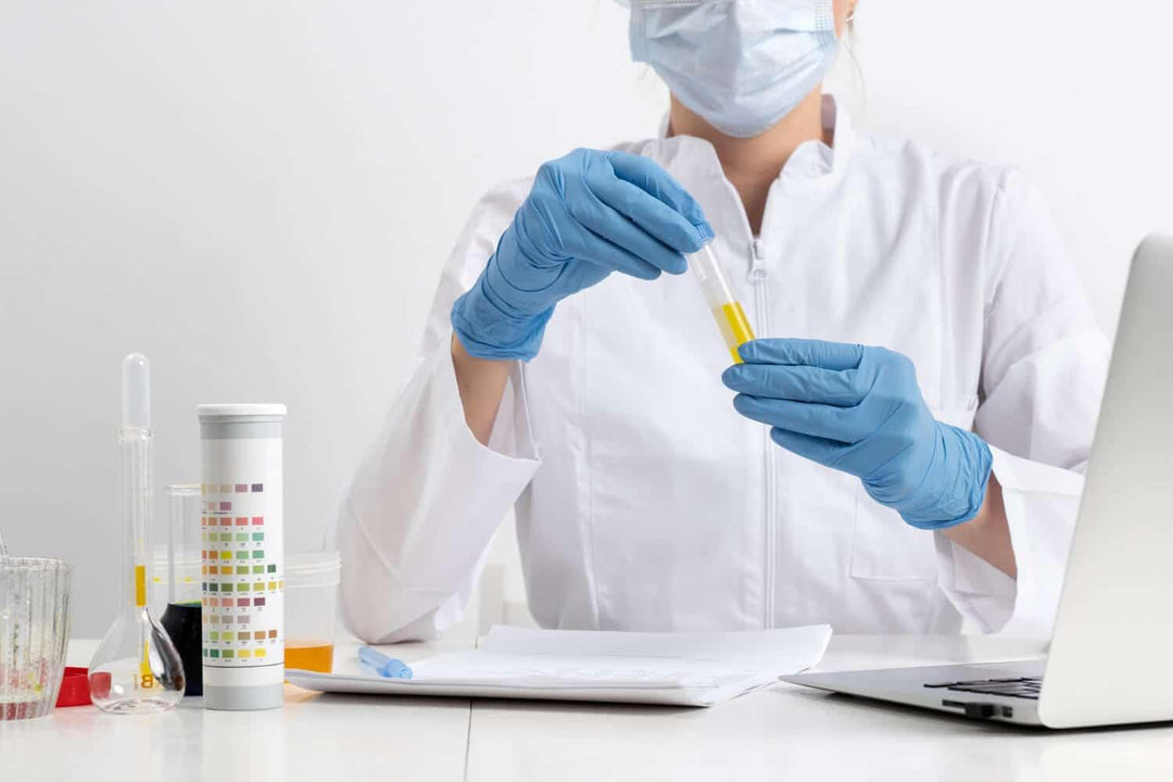Lab technician with gloves analyzing urine sample in test tube beside laptop and test strips