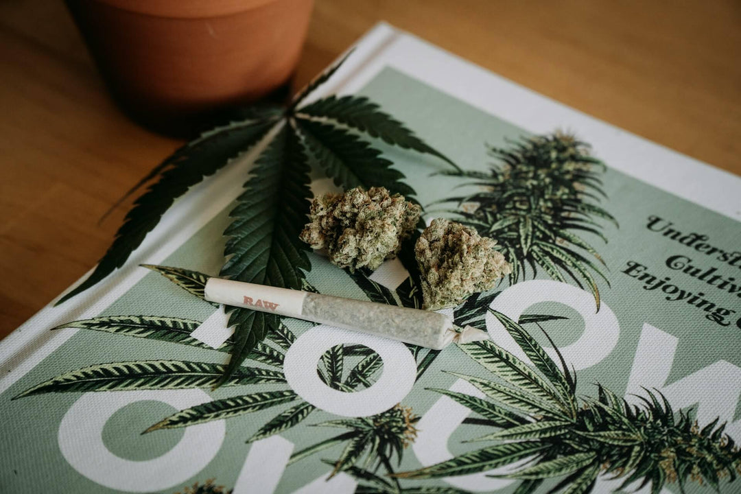 Cannabis leaf, buds, and pre-rolled joint on a table with THCA product advertisement