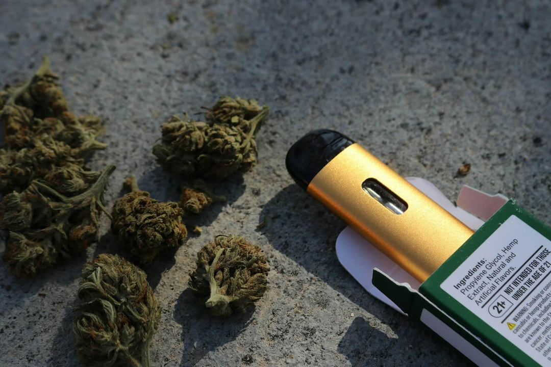 Cannabis buds and gold weed disposable vape device on concrete surface