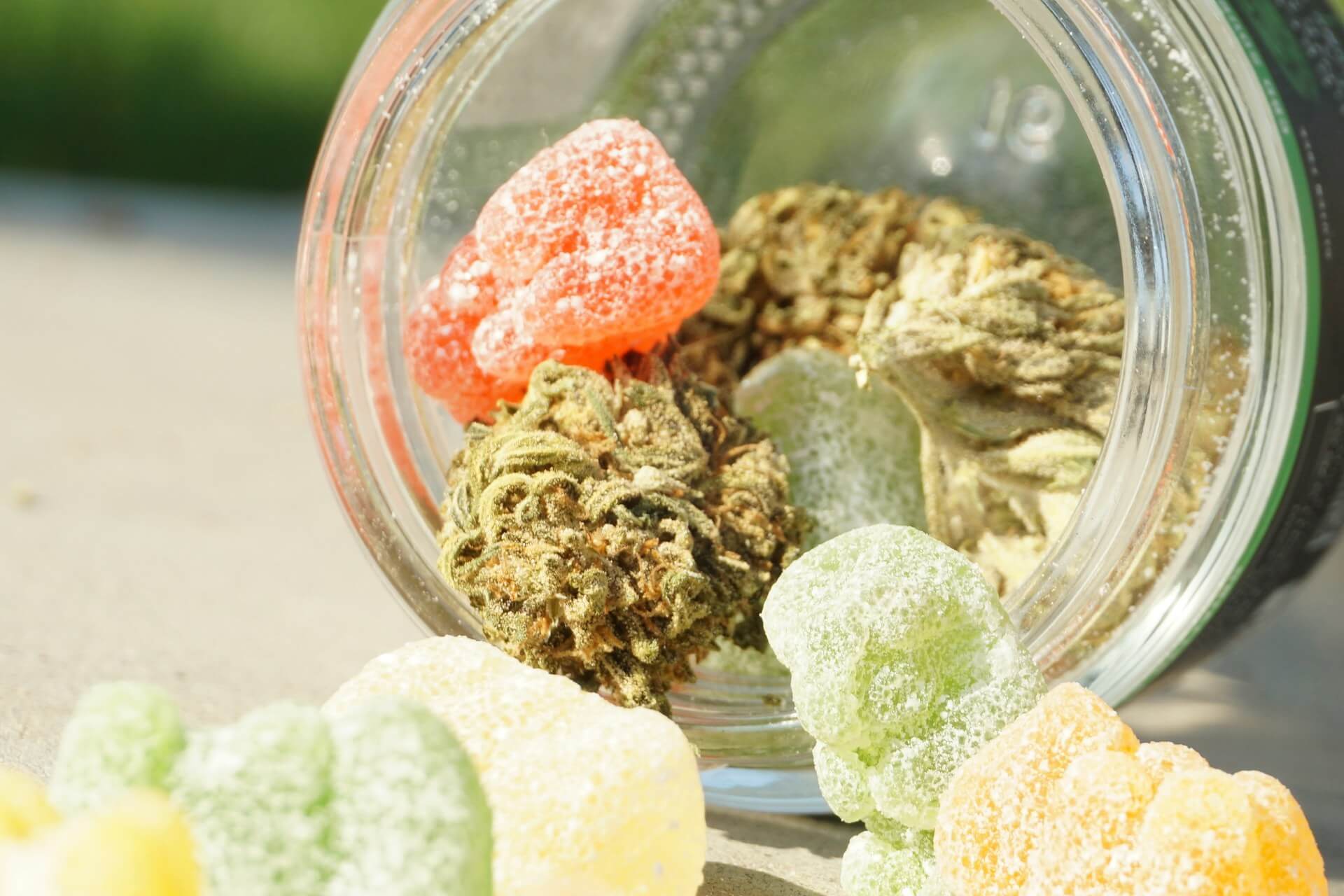 My weed gummies melted – Are they still edible?