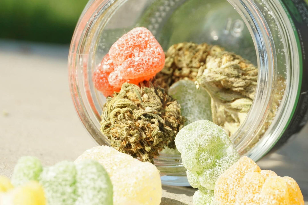 Colorful weed gummies and cannabis buds spilled from a glass jar outdoors