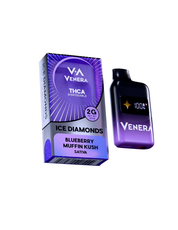 2G Disposable Vape Pen