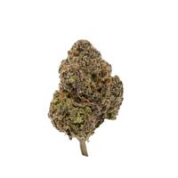 A single bud of Blue Nerdz THCA Hemp Flower against a black background, showcasing its dense, furry appearance with a mix of brown, green, and purple hues.