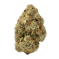 Elephant-Growth-Sativa-Energy