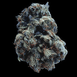 Image of Gravy Exotic Indoor THCA Hemp Flower Indica - Venera