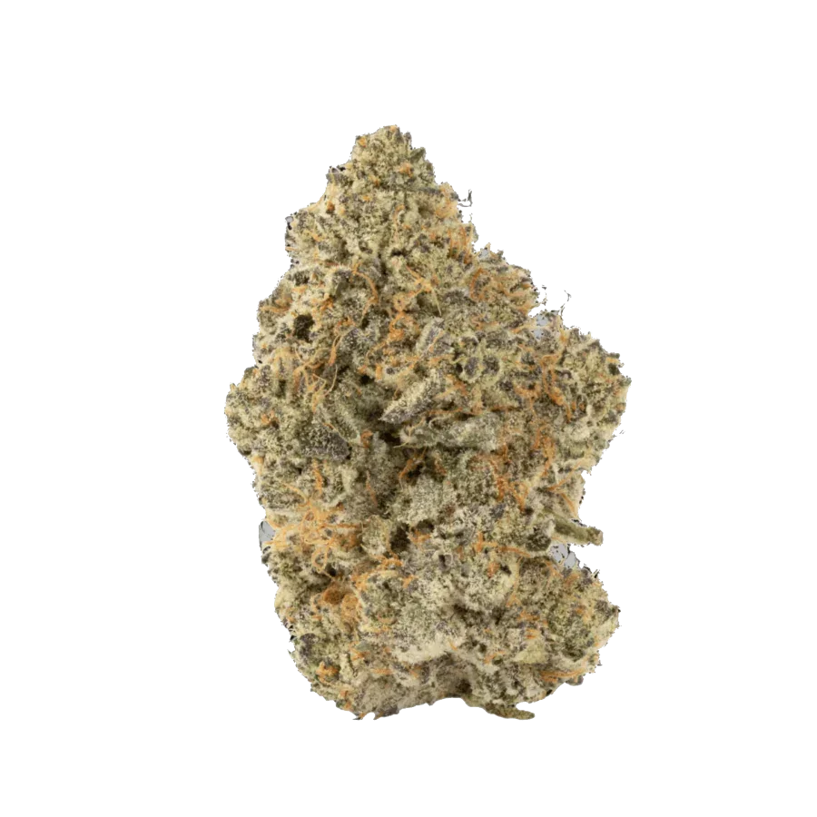 Bubblegum Zlurp THCA Hemp Flower with visible orange hairs and white