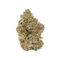 Bubblegum Zlurp THCA Hemp Flower with visible orange hairs and white