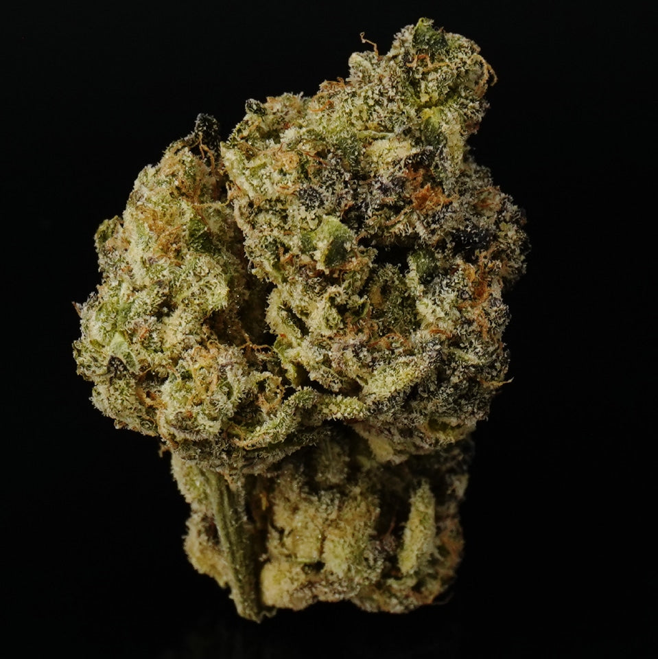 Fuego MF Exotic Indoor Hemp THCA flowers -Venera