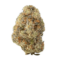 A dense, fluffy hemp flower bud with visible orange hairs and amber-tinted white crystal trichomes against a white background.