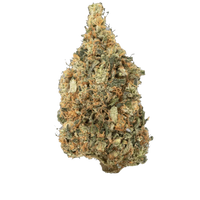 A dense, Christmas tree-shaped nug of Sunset Sherbert hemp flower with orange hairs and milky white trichomes against a black background.