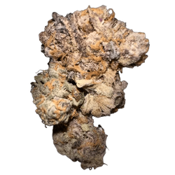 Image of Sour Grape Exotic THCA Hemp Flower