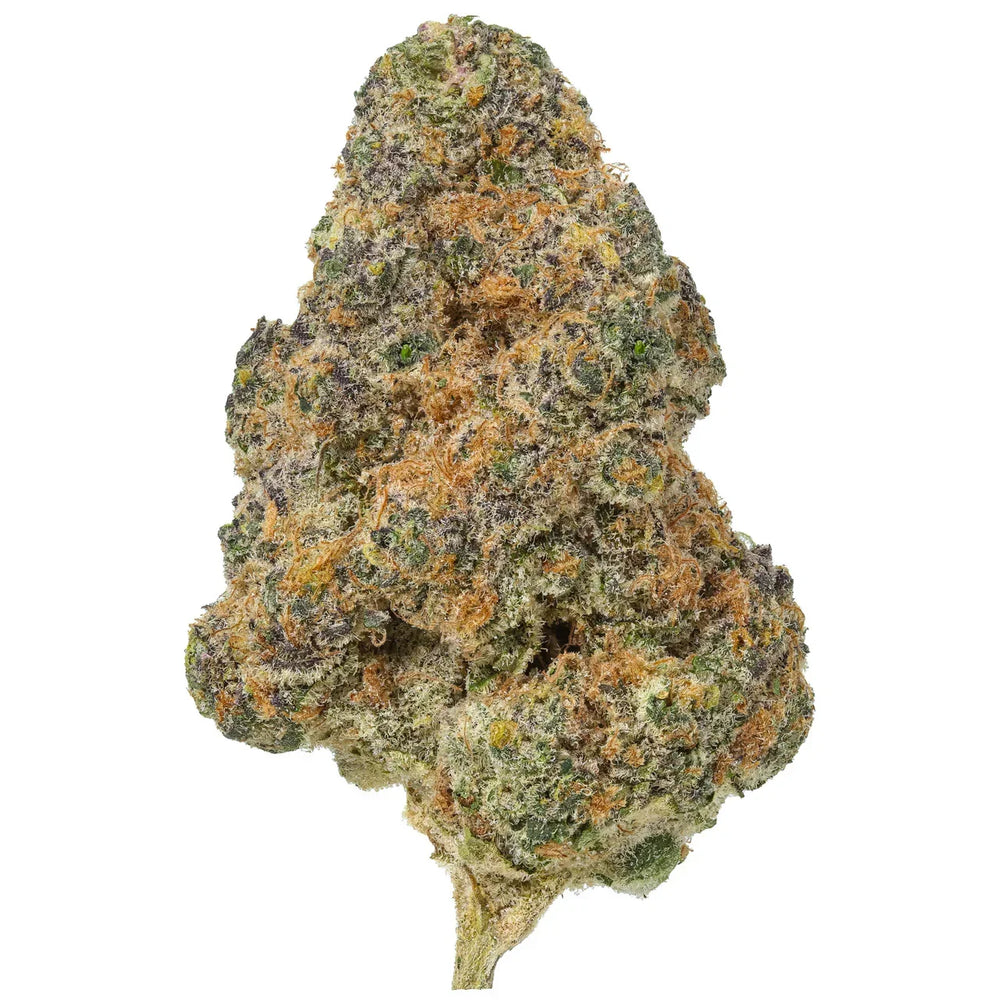 Close-up of Strawberry Lemonade cannabis bud with frosty trichomes and orange pistils