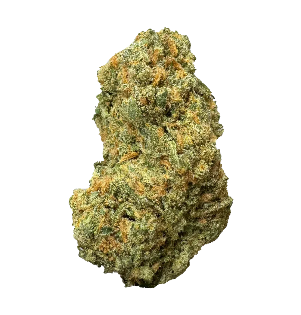 Super Silver Haze cannabis bud with orange hairs and green trichomes on white background