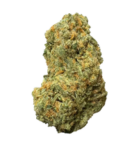Super Silver Haze cannabis bud with orange hairs and green trichomes on white background