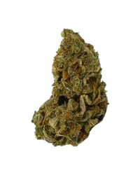Trufflez THCA Hemp Flower (Sativa)