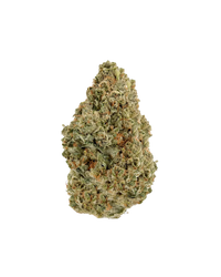 Strawberry Cough THCA Hemp Flower (Sativa)