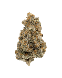 RS-11  THCA Hemp Flower (Sativa)