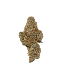 Guava Runtz x Cherry Gushers THCA Hemp FLower (Hybrid)