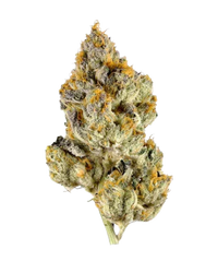 Pluto THCA Hemp Flower (Indica)