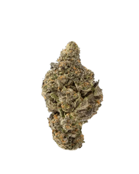 Black Biscotti THCA Hemp Flower (Indica)