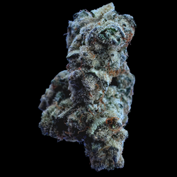 Image of White Cherry Indoor THCA Hemp Flower Indica - Venera