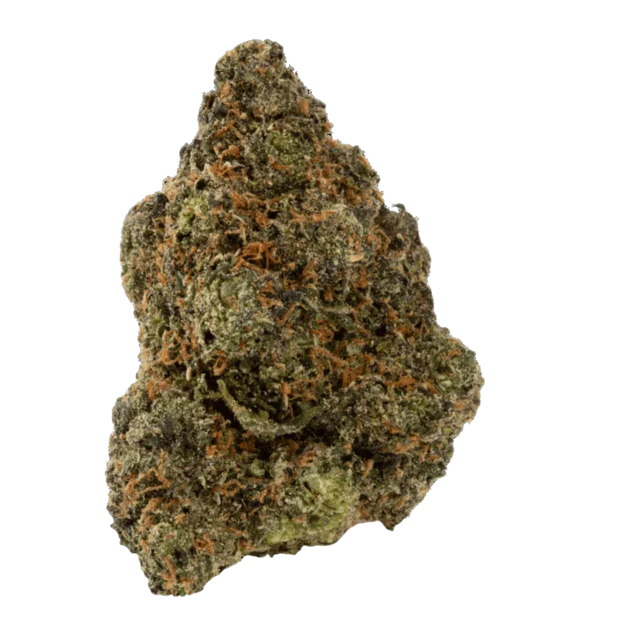  lumpy nug of Gelato THCA hemp flower with dark green leaves