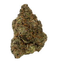 lumpy nug of Gelato THCA hemp flower with dark green leaves