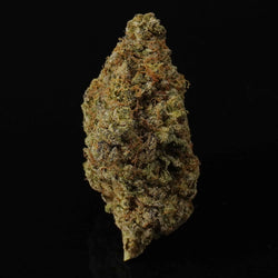 Image of Venus Man Exotic Indoor THCA Hemp Flower Venera